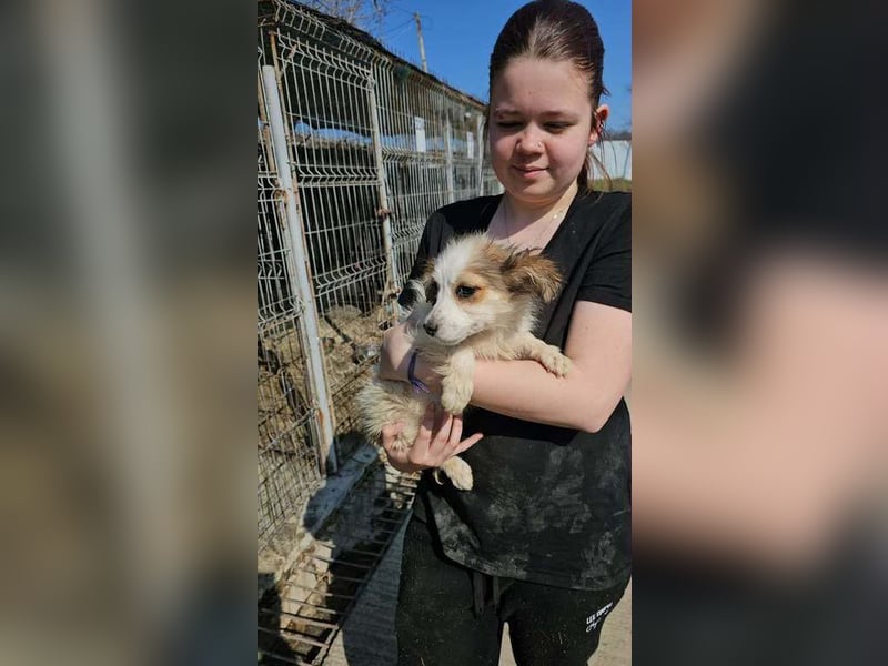 Wanja sucht ihre Familie