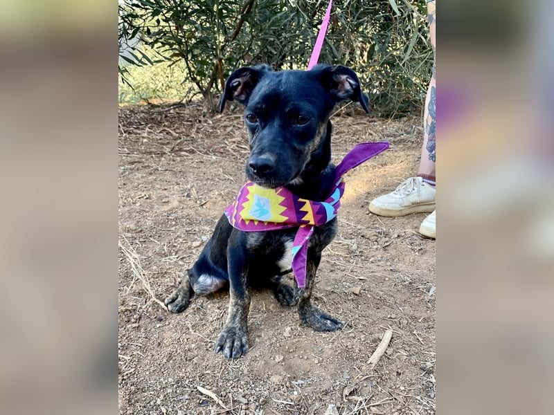 süße Maus Doris sucht DICH