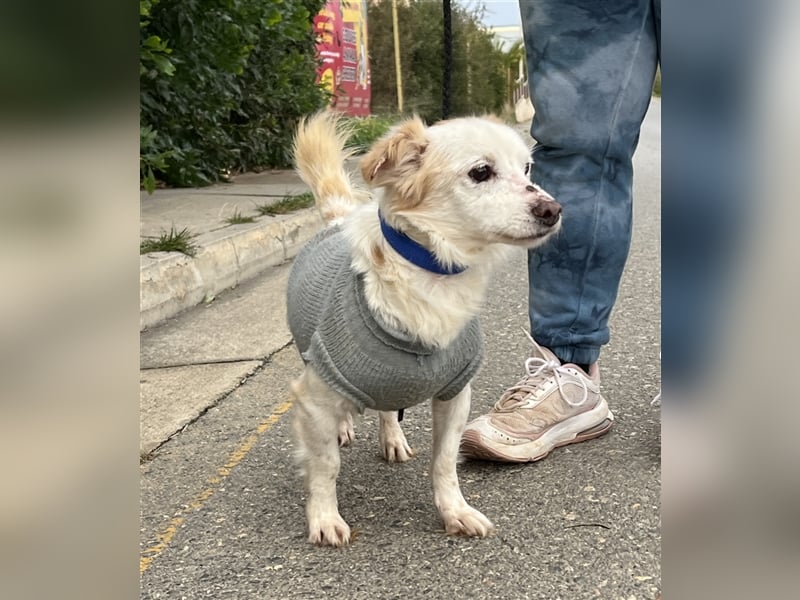 Gibst du dem kleinen Minas eine Chance?