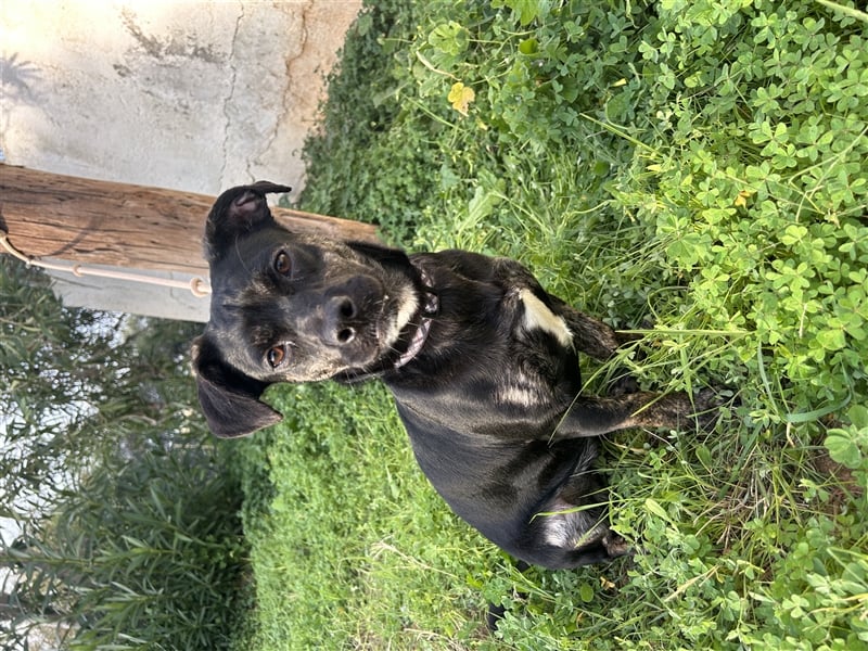 süße Maus Doris sucht DICH