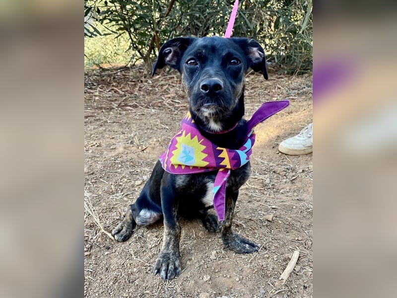 süße Maus Doris sucht DICH