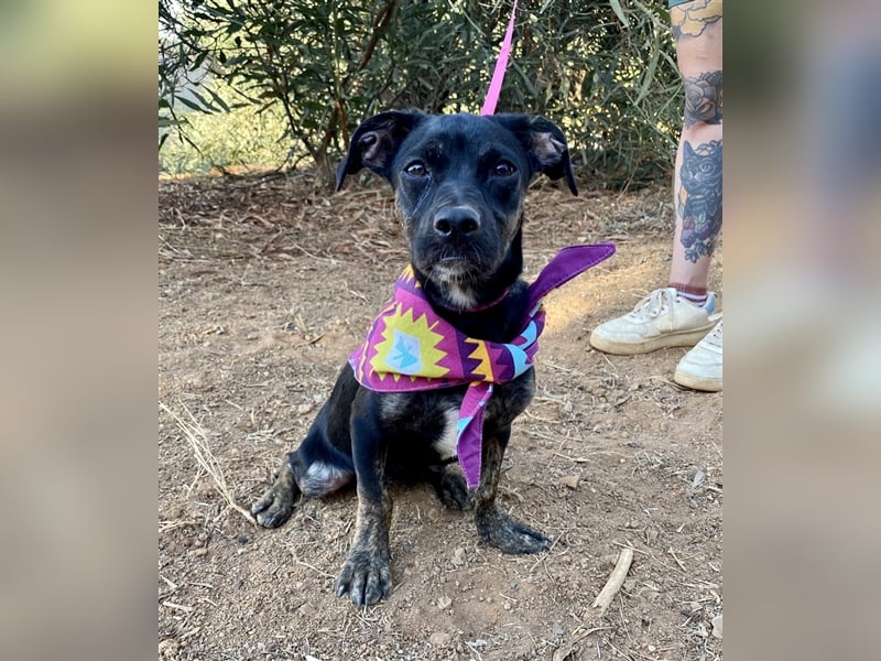 süße Maus Doris sucht DICH