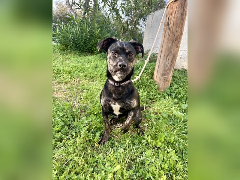 süße Maus Doris sucht DICH