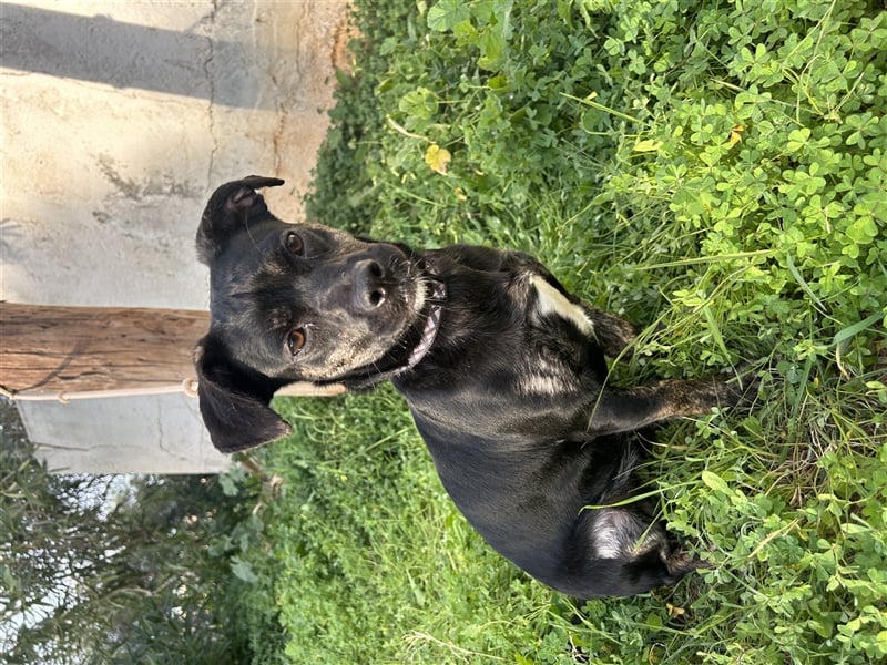 süße Maus Doris sucht DICH