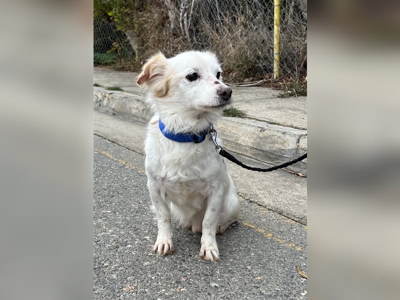 Gibst du dem kleinen Minas eine Chance?