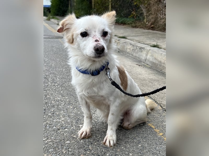 Gibst du dem kleinen Minas eine Chance?