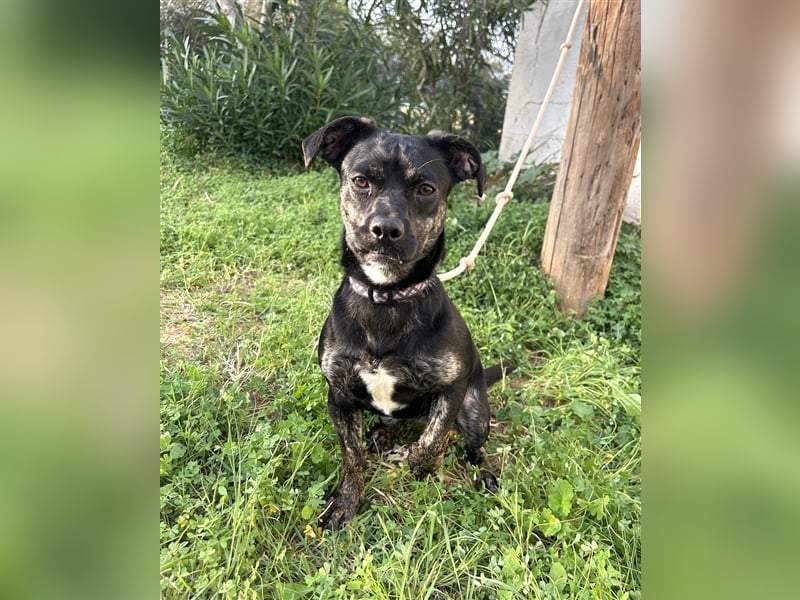 süße Maus Doris sucht DICH