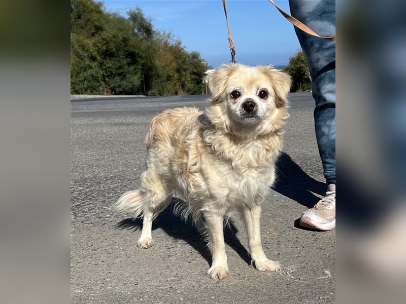 Omi Zorina sucht Endstelle!