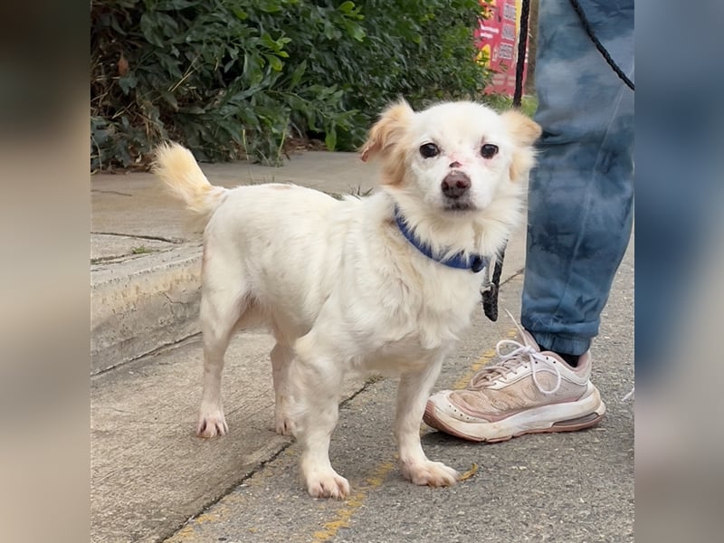 Gibst du dem kleinen Minas eine Chance?