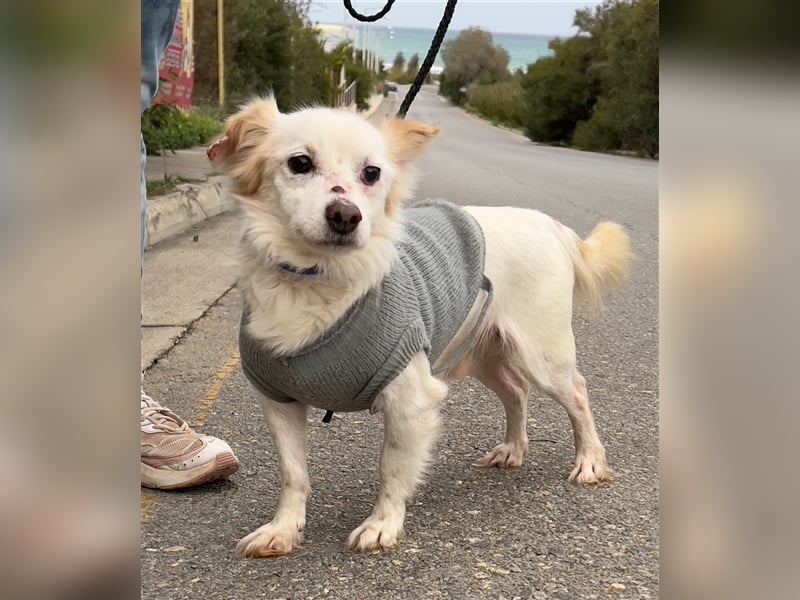 Gibst du dem kleinen Minas eine Chance?