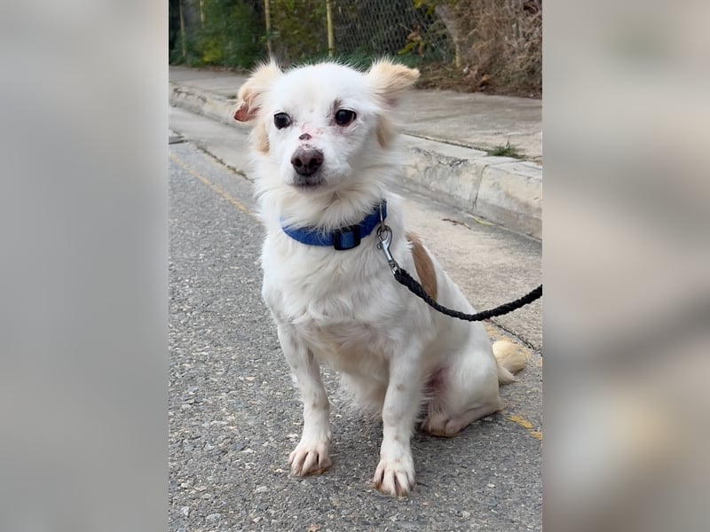 Gibst du dem kleinen Minas eine Chance?