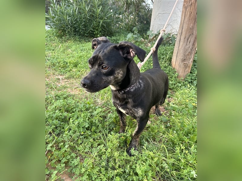 süße Maus Doris sucht DICH