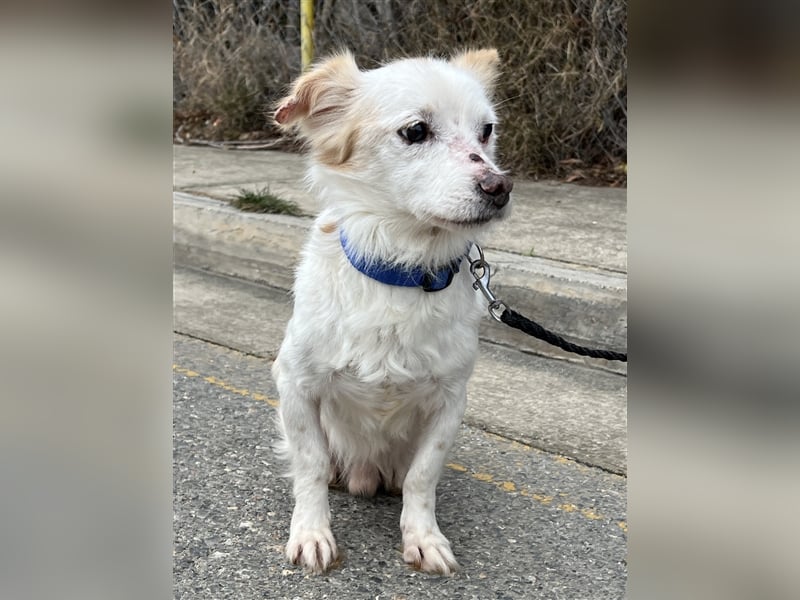 Gibst du dem kleinen Minas eine Chance?