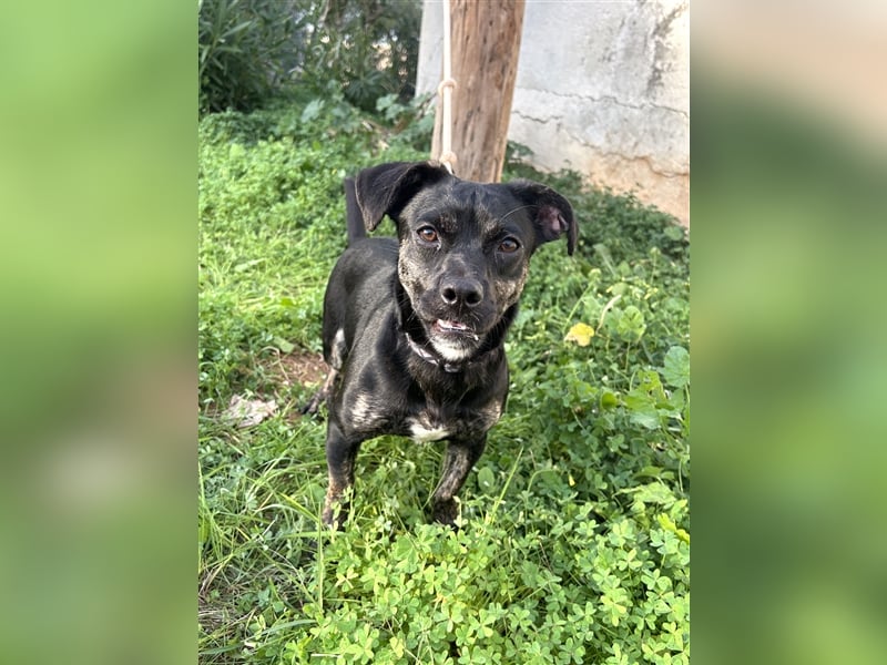 süße Maus Doris sucht DICH