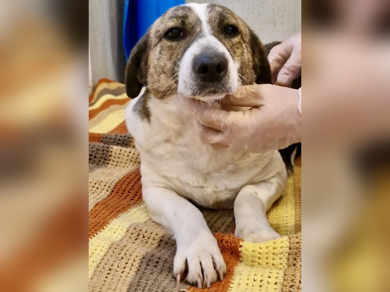 Super freundliche, kleine LUISA