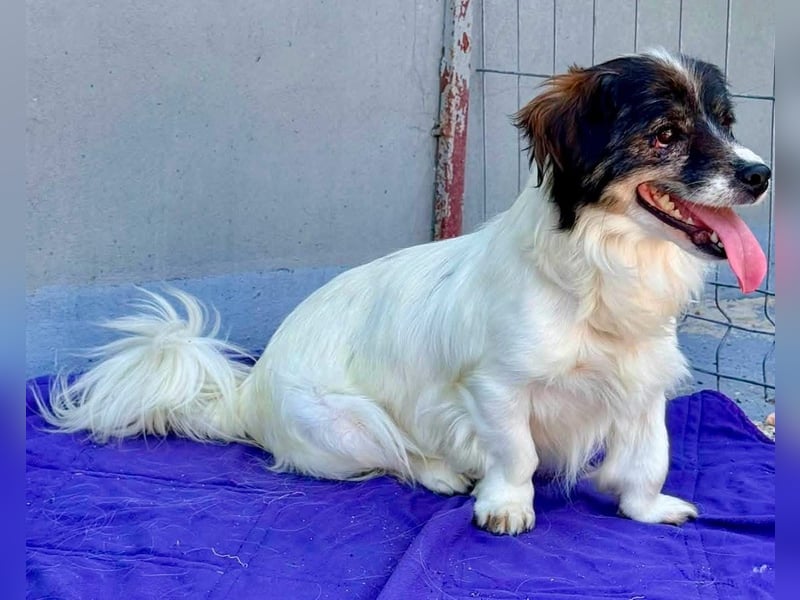 Rocky, kleines Männlein sucht seine Familie