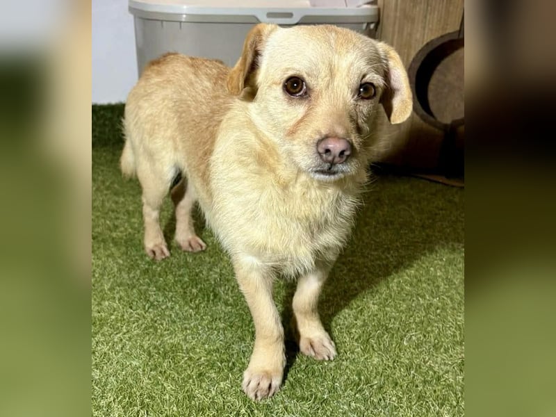 Kleines, zartes Männlein Justus