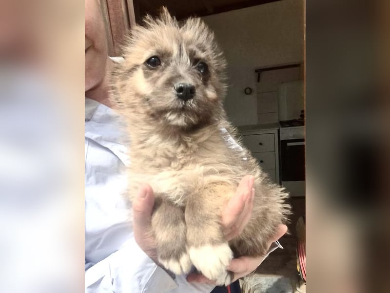 Jury sucht seine Menschen