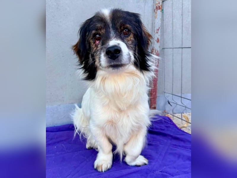 Rocky, kleines Männlein sucht seine Familie