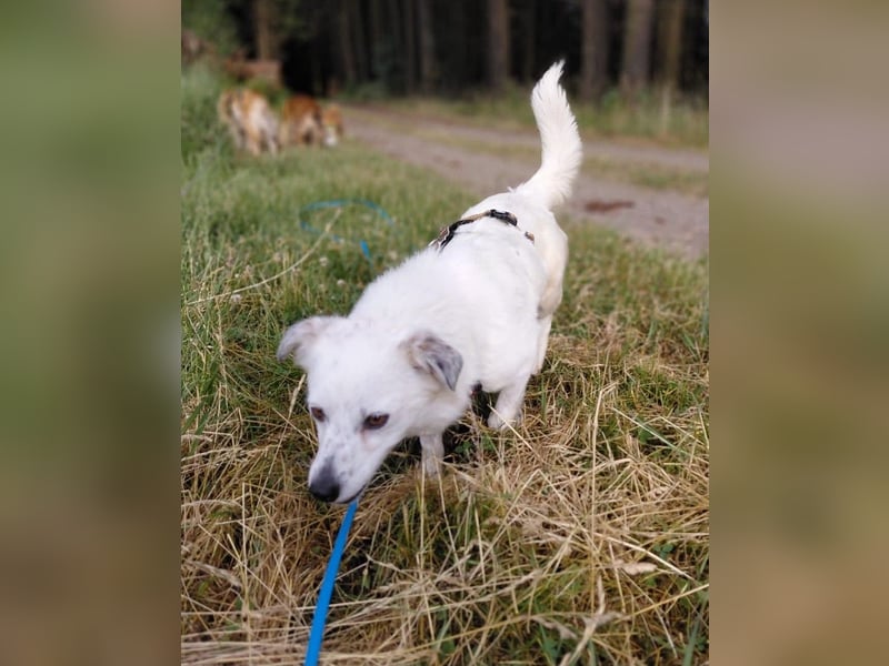 Maja wartet auf ihre Herzensmenschen