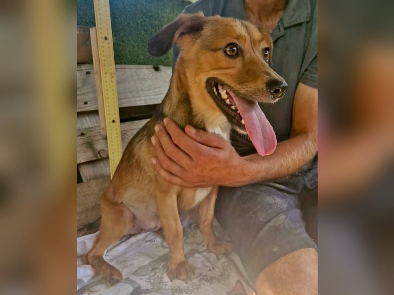 Souly, kleine Kämpferin sucht ihr Glück