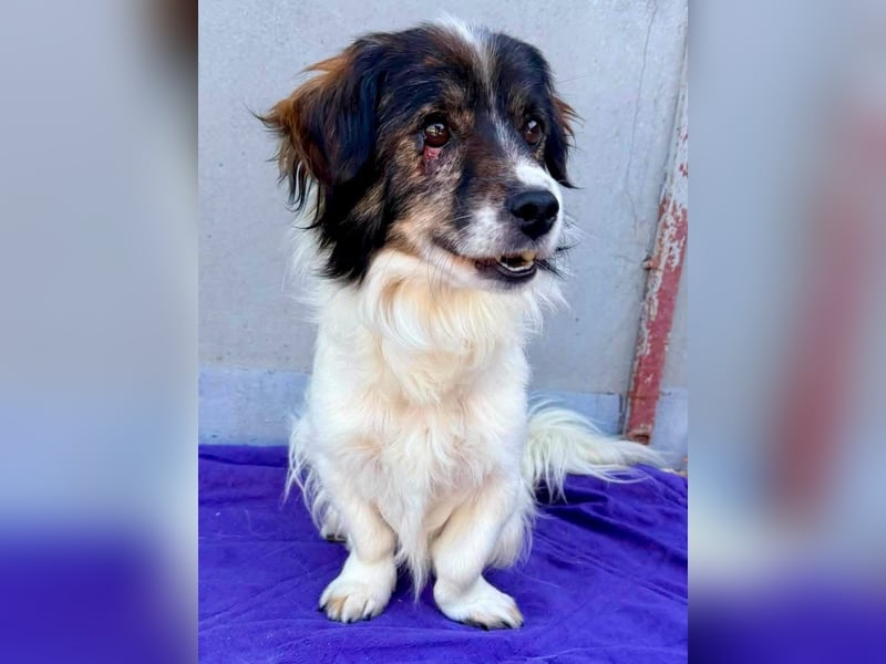 Rocky, kleines Männlein sucht seine Familie