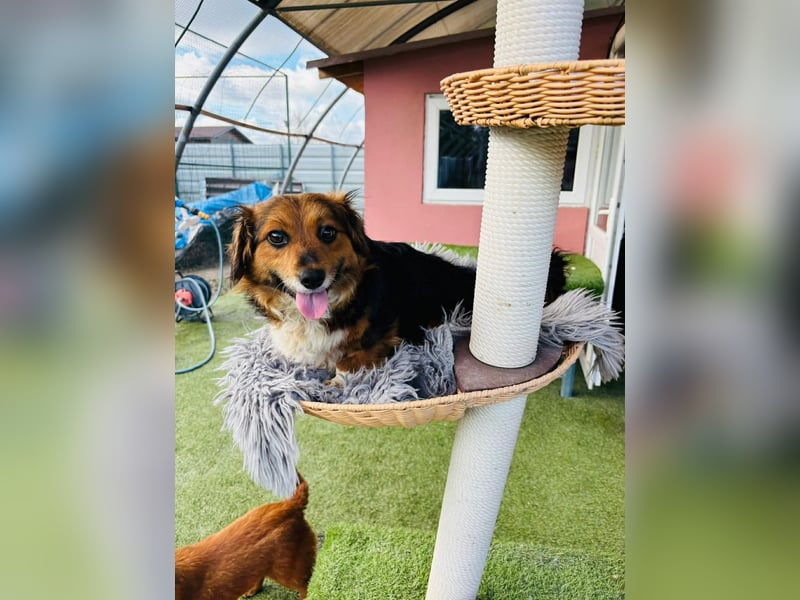 Mini Knutschkugel Kessie