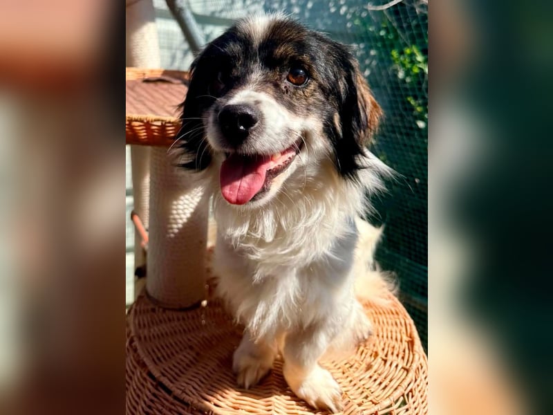 Rocky, kleines Männlein sucht seine Familie