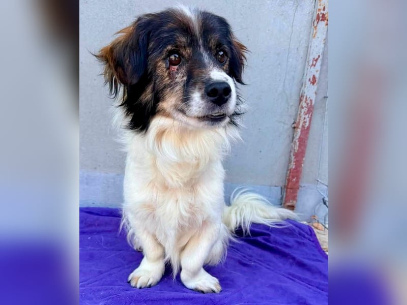 Rocky, kleines Männlein sucht seine Familie