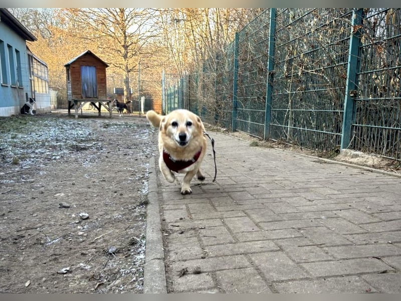 Kleiner Noah sucht liebevolles Zuhause