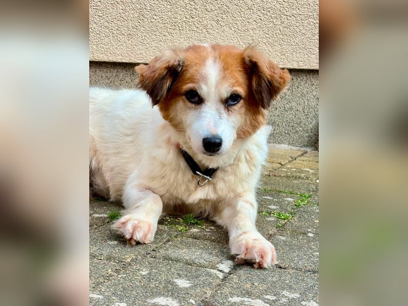 Anka möchte endlich dazugehören