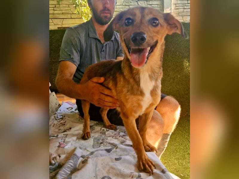 Souly, kleine Kämpferin sucht ihr Glück