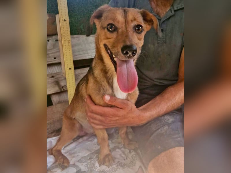 Souly, kleine Kämpferin sucht ihr Glück