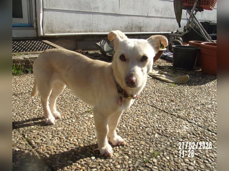 Kleine Selly sucht ein liebevolles Zuhause