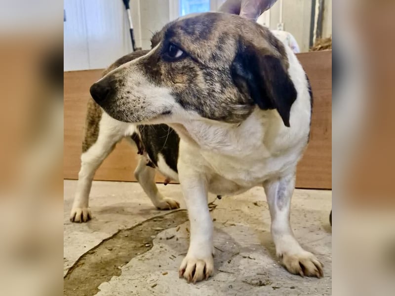 Super freundliche, kleine LUISA