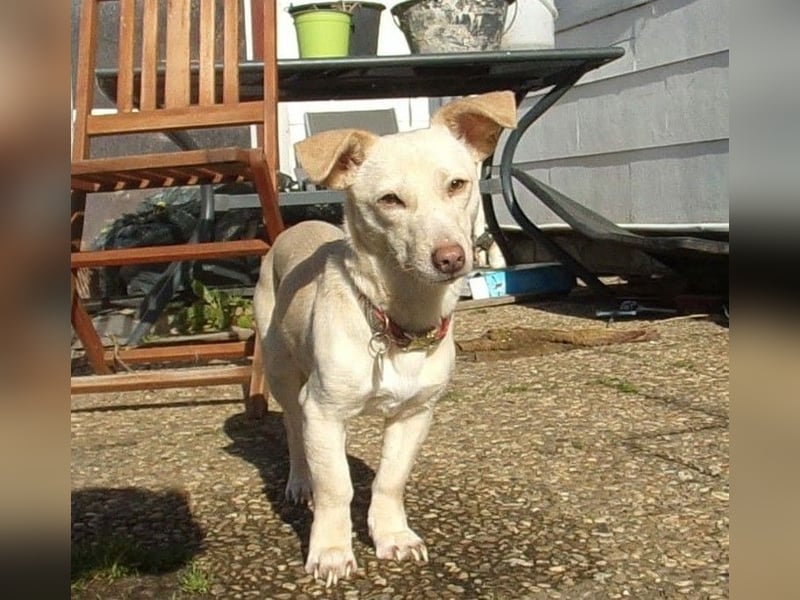 Kleine Selly sucht ein liebevolles Zuhause