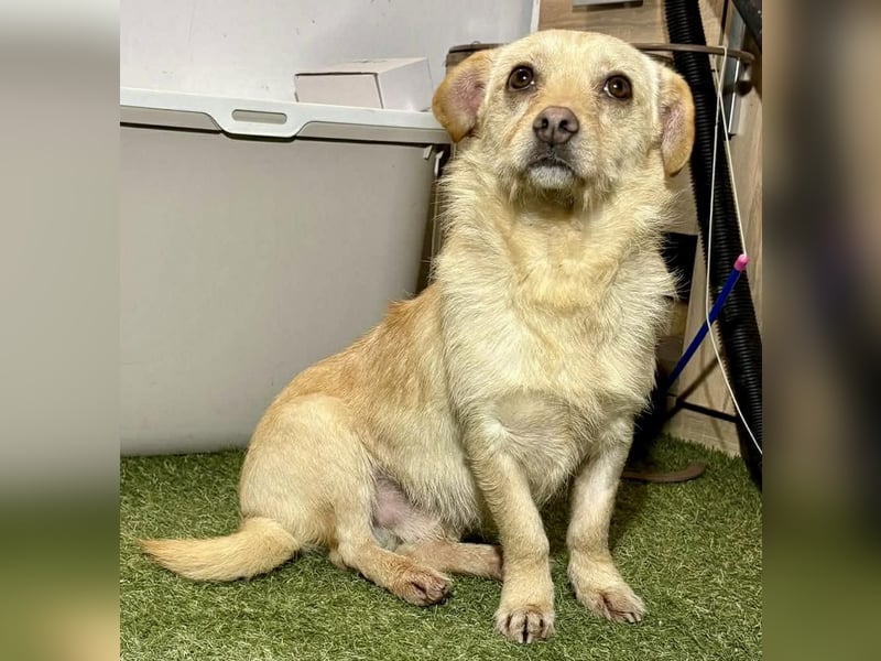 Kleines, zartes Männlein Justus