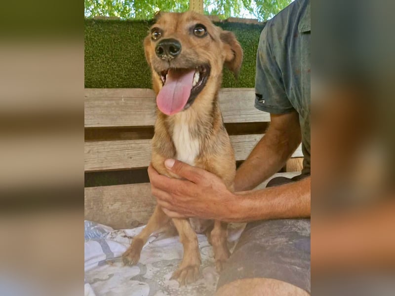 Souly, kleine Kämpferin sucht ihr Glück