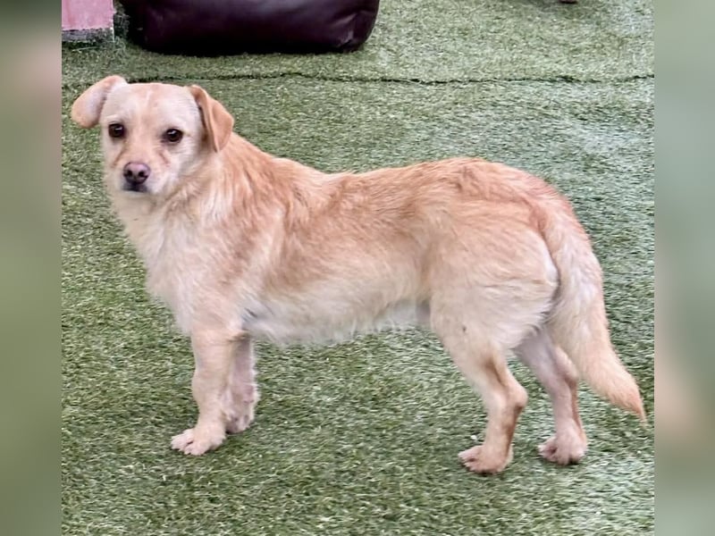 Kleines, zartes Männlein Justus