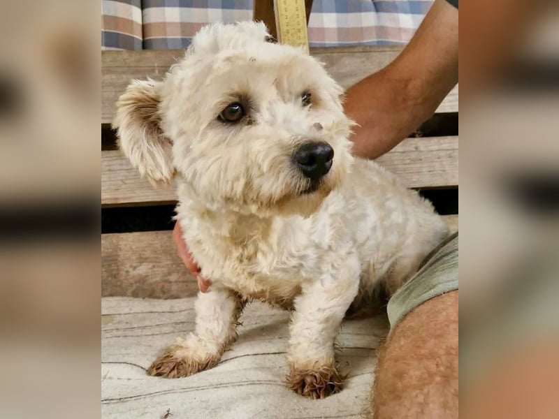 Kleiner Jonny sucht Menschen, die ihn nie wieder im Stich lassen