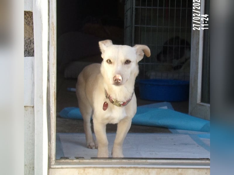 Kleine Selly sucht ein liebevolles Zuhause