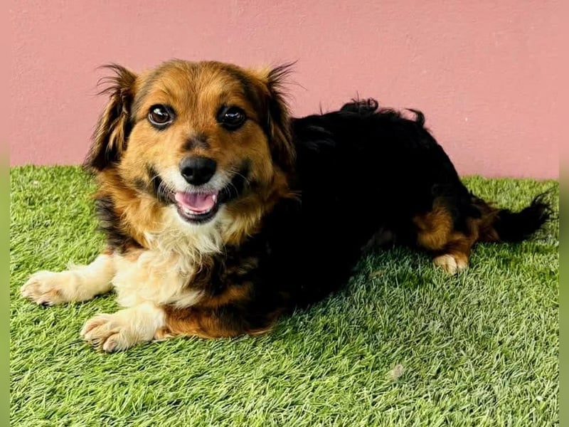 Mini Knutschkugel Kessie