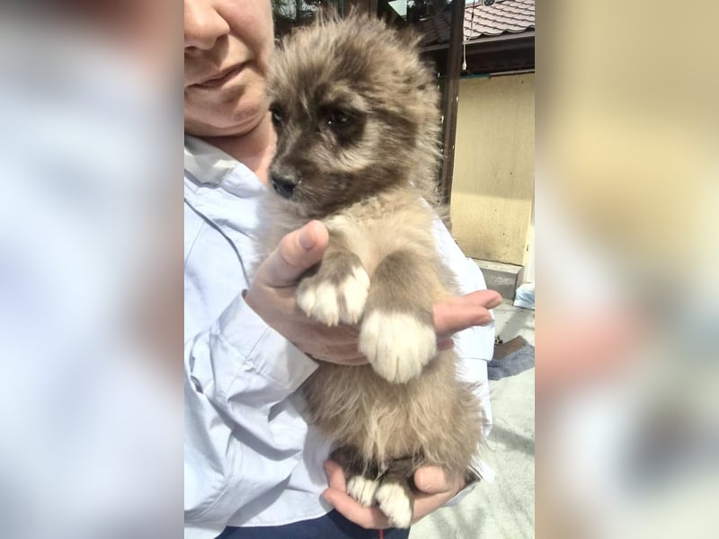 Jury sucht seine Menschen