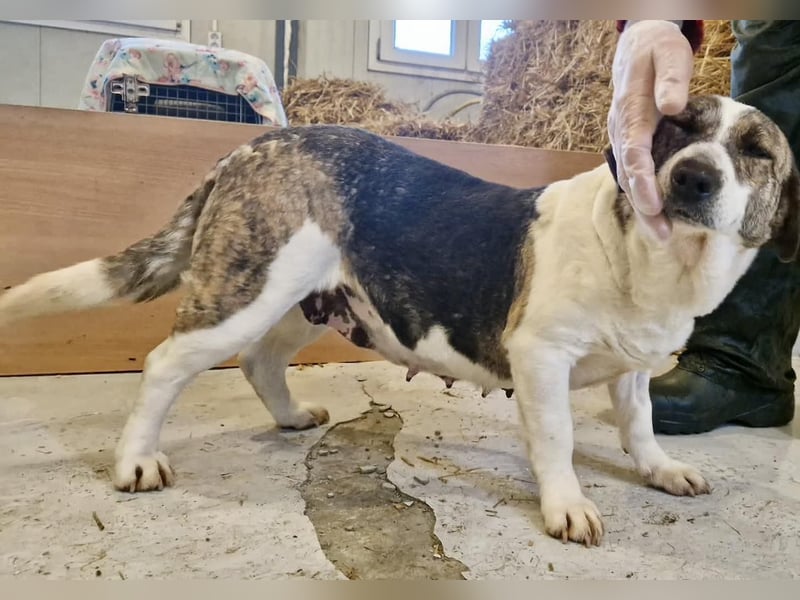 Super freundliche, kleine LUISA