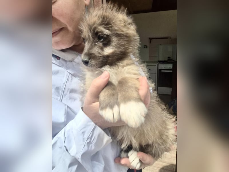 Jury sucht seine Menschen