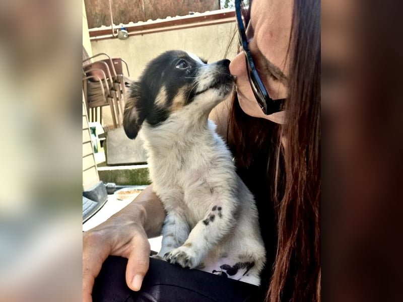 Angelo – kleiner Herzensbrecher sucht seine Familie