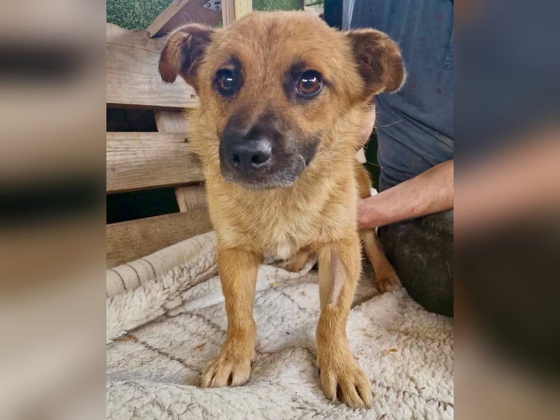 Kleiner Thor sucht sein großes Glück