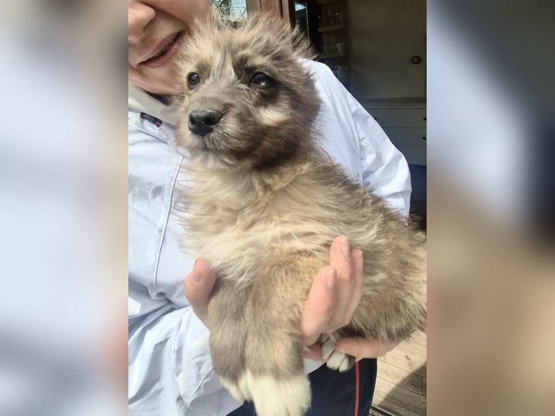 Jury sucht seine Menschen