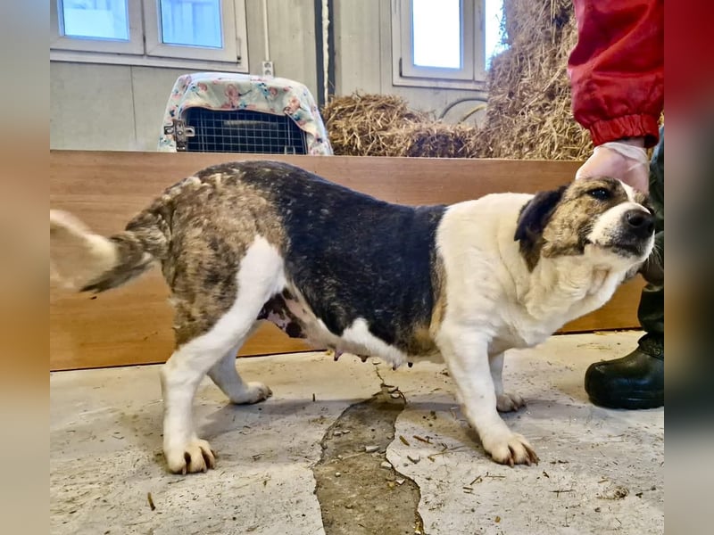 Super freundliche, kleine LUISA