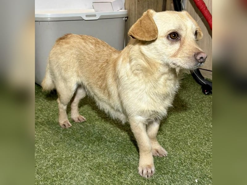 Kleines, zartes Männlein Justus